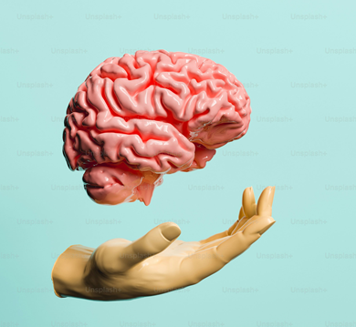 Daily Habits to Keep Your Mind Sharp